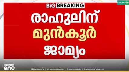 വോട്ട് ചെയ്യാനെത്തുമോ രാഹുൽ? രാഹുൽ മാങ്കൂട്ടത്തിലിന് മുൻകൂർ ജാമ്യം..