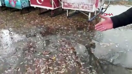 Türkiye'nin kış turizmi cenneti Çıldır Gölü'nde şaşırtan manzara