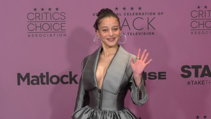 Chase Infiniti attends the red carpet at the 8th annual celebration of Black Cinema & Television