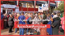 27 مرشح على مقعد واحد.. توافد الناخبين على لجان المنتزه بالإسكندرية| بث مباشر