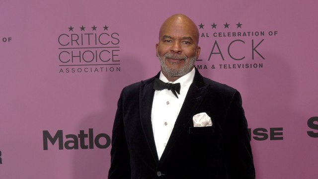David Alan Grier attends the red carpet at the 8th annual celebration of Black Cinema & Television
