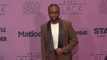 Miles Caton attends the red carpet at the 8th annual celebration of Black Cinema & Television