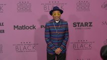 Spike Lee attends the red carpet at the 8th annual celebration of Black Cinema & Television
