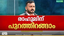 ഇനി പുറത്തിറങ്ങാം..  രാഹുൽ മാങ്കൂട്ടത്തിലിന് ജാമ്യം..