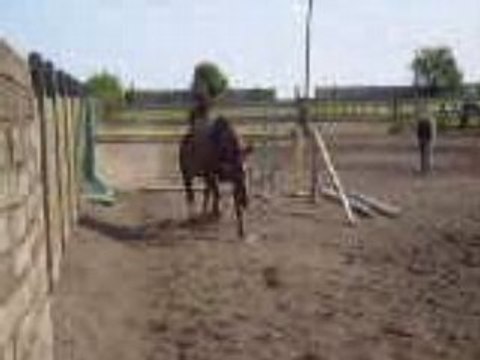 1m10 en oxer