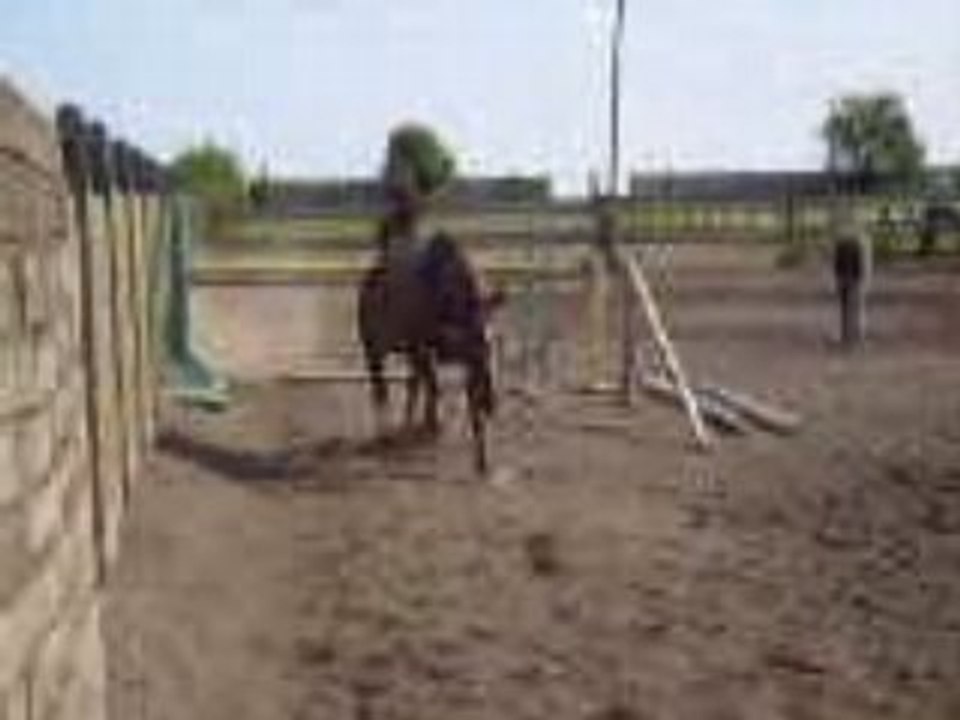 1m10 en oxer
