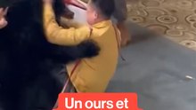 Incident entre un dresseur et un ours noir en Chine