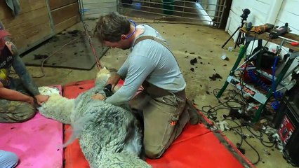 Northwoods Survival S02 E07