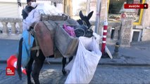 Mardin’de temizlikte kullanılan kadrolu eşekler emekli ediliyor