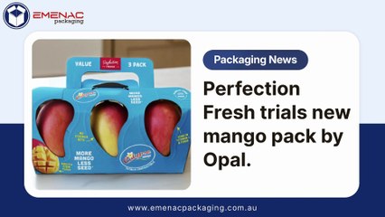 Perfection Fresh trials new mango pack by Opal