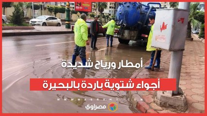 أمطار ورياح شديدة.. أجواء شتوية باردة بالبحيرة