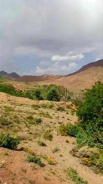 #reels tamazirte ifolkin Maroc