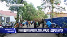 Pohon Beringin Tumbang Timpa Warung dan Dua Sepeda Motor
