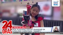 Mga alagang hayop, paandar sa kanilang Christmas "Pawrty" | 24 Oras