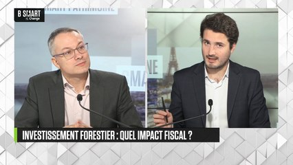 SMART PATRIMOINE - Quel impact fiscal des investissements forestiers ?