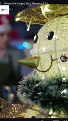 [TOP MOVIE] When The Caged Bird Returns #shortmax #Shortstudio