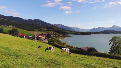 Pascoli, la FAO lancia l’anno dedicato ai custodi della terra
