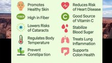 benefits of okra
