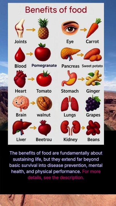benefits that foods provide