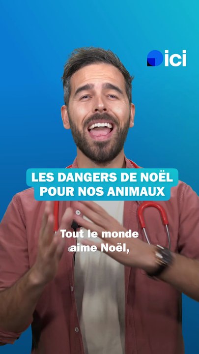 Les dangers de Noël pour vos animaux - les conseils du véto
