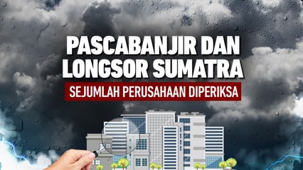 Sejumlah Perusahaan Diperika Imbas Banjir dan Longsor Sumatra