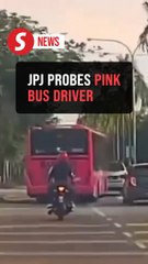 Melaka's Pink Bus viral video under JPJ probe