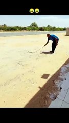 Fun with snake cameraman dead😂😂😂😂😂😂😂😂😂😂😂 #fun #snake #cameraman #viral #trending #funny #dailymotion