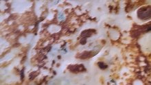 Rice flour roti gluten free chapati recipe