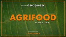 Agrifood Magazine - 10/12/2025