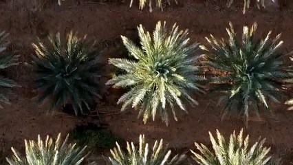 Vanished History Episode 9 Tesla's Lost Archives & Missing Statue of Zeus