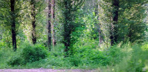 Ghost Blows Out The Light: Finding Hu Ba Yi (2017) Ep 09 [Eng Sub]