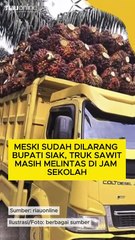Meski Sudah Dilarang Bupati Siak, Truk Sawit Masih Melintas di Jam Sekolah
