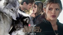 💘Bound to the Rebel Wolf - 🟢Full Version 🌟 Free Watch!