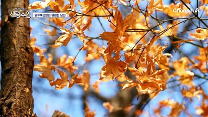 이제는 자기 집처럼 익숙한 일우의 선영 하우스 방문!