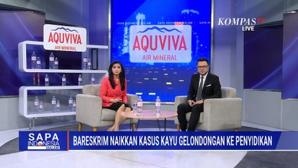 Kasus Kayu Gelondongan di Tapsel Naik Penyidikan, Bareskrim Telusuri Dugaan 110 Bukaan Lahan Baru