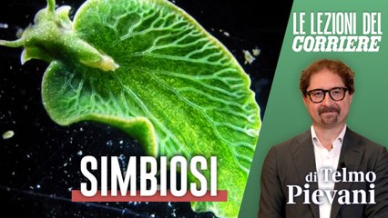 Lezioni del Corriere - Scienze - Simbiosi, Pievani