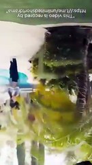 A Mother's Triumph I Have Three Powerful Sons