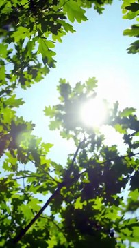 On the day of the bamboo horse engagement, she was in a low mood, he silently comforted her, like the wind blowing away the haze, from that moment on, his concern was not only accidental, but the once unattainable figure of the moment became her destined