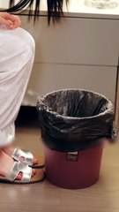 Reborn, he took abandoned me home; his family spoiled me like a princess, giving me all their love!