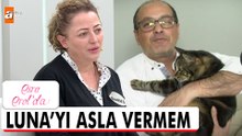 Kedi Luna'nın velayeti kimde kalacak? - Esra Erol'da 10 Aralık 2025