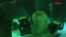 Natale allo zoo di Madrid: due subacquei mettono il presepe nella vasca degli squali