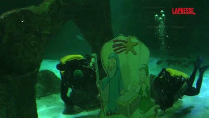 Natale allo zoo di Madrid: due subacquei mettono il presepe nella vasca degli squali
