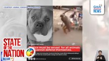 Hulicam: Viral na pananakit sa American Bully sa Sadanga, Mountain Province | SONA