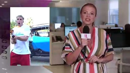 Logan Paul Slams UFC Fighters After Getting Dissed | Hollywoodlife