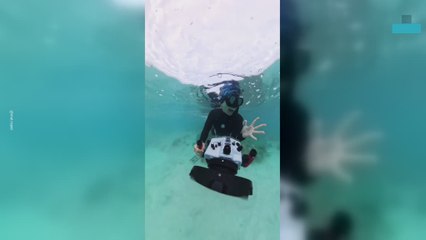 Cute Encounter With Endangered Sea Lions