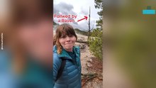 Funny Moment Women Followed by a Raven on a Hike
