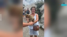 Nan Gets an Unexpected Bite Playing With Monkeys