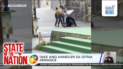 Oso, inatake ang handler sa gitna ng performance | SONA