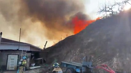 강원 양양군에서 산불...1시간여 만에 주불 진화 / YTN