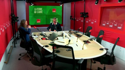 La joie des maths - La terre au carré